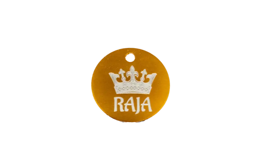 Custom-tag-cat-dog-pet-laser-engraved